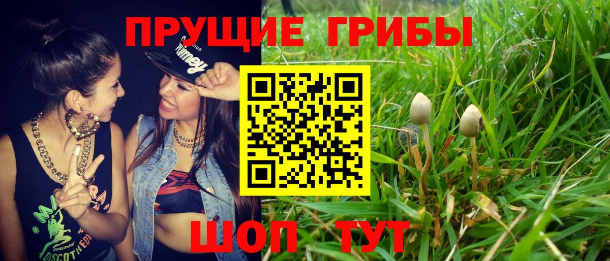 Галлюциногенные грибы MAGIC MUSHROOMS  Галлюциногенные грибы мицелий  Вход с VPN  Рязань 