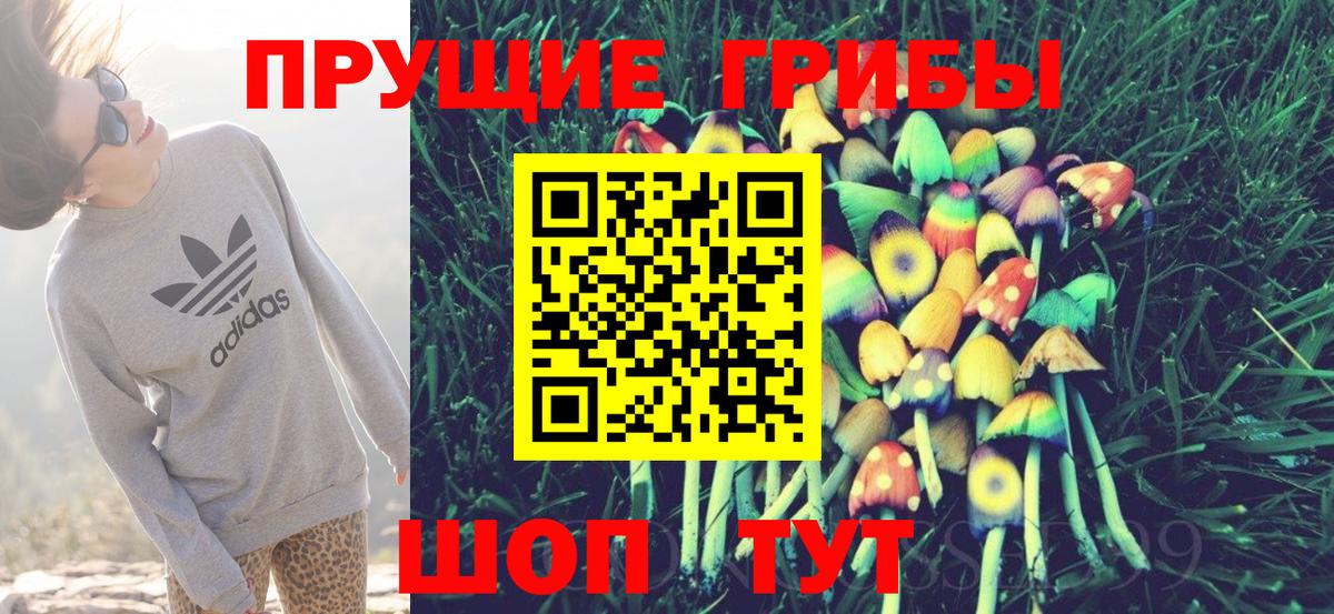 Псилоцибиновые грибы прущие грибы Рязань